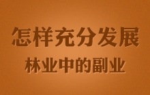 ���ӳ�ְl(f��)չ�֘I(y��)�еĸ��I(y��)