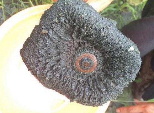 ���õĺ����x���룬������һ�ӵĵV�a(ch��n)����