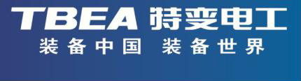 特变电工国际工程有限公司