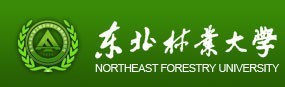 东北林业大学工程咨询设计研究院有限公司