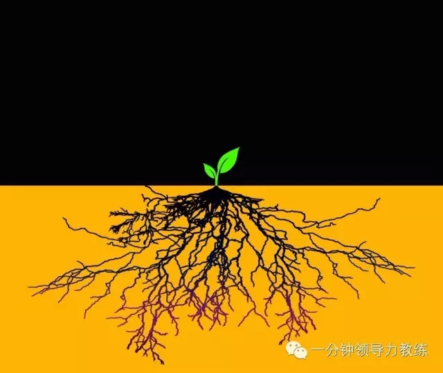 原力觉醒,让天赋根植于您的生命-葛雍·一分钟领导力教练的文章【一览职业社区】