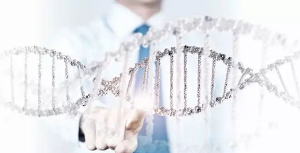 关悦:我在美国当遗传咨询师-蒋乐玲的文章【一览职业社区】