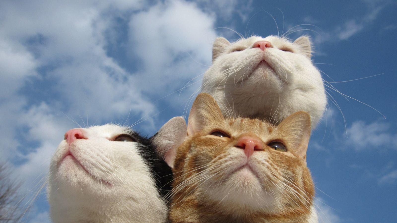 "晒勤奋"是一种病,得治!